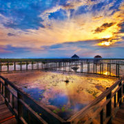 天青色的墙 头像