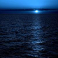 开着拖拉机迎接冬天的到来 头像