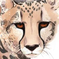 万吨匿名信 头像