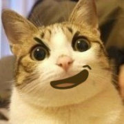 天外晴风吹云立 头像