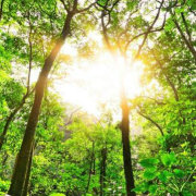 安安与帆帆 头像