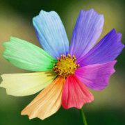 学佳在武汉 头像