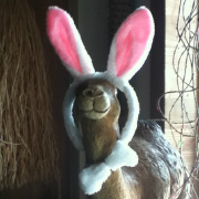 弹个棉花糖 头像