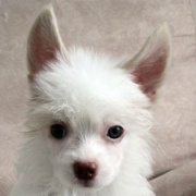 人间一堕十劫 头像