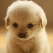 Saerdna健身ing 头像