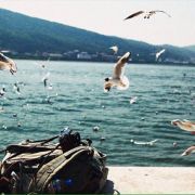 龙套路人甲龙套 头像