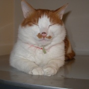 李记者后面是一个质数 头像