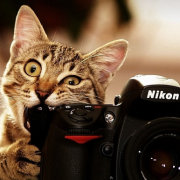 EsWaereSchoenGewesen 头像