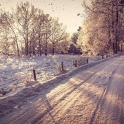 何小宁2号 头像