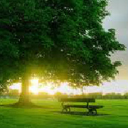 和光同尘月光 头像