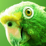 夜未央2019 头像