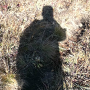 相当无奈了 头像