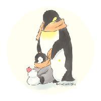 齐贤 头像