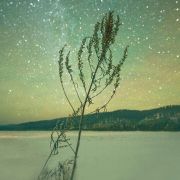 茶茶的笔记 头像