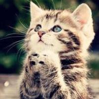 zhang_peng_ynu 头像