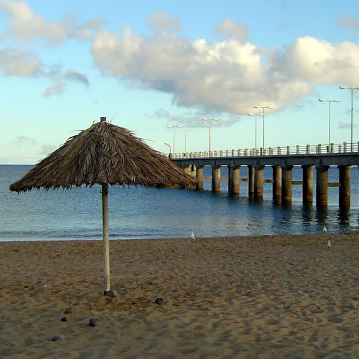 Duarte Carvalho 头像