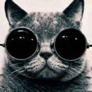 兔B男卜one 头像