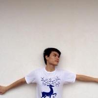 qingqing-zhao 头像