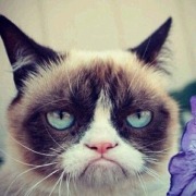 洒家长的不行 头像