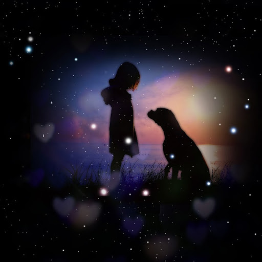 罗达诗（lods） 头像