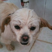 Mozzzzzzzzzzzzie 头像