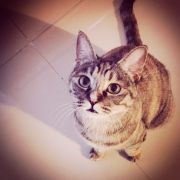 ARiverRunsThroughHope 头像