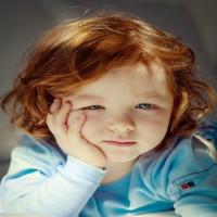 伯爵在城堡 头像