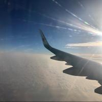 Mickey 雯爷 头像