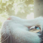 爱上一碗茶的时间 头像