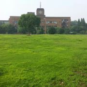 在安静中不慌不忙的坚强AZa 头像