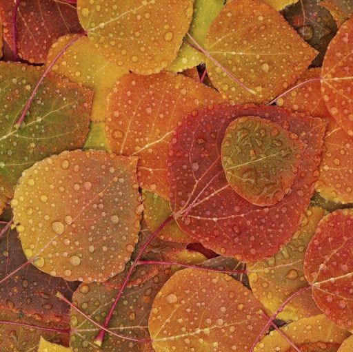 Happyjw Happyjw 头像