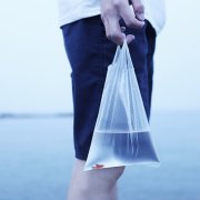 Bazinga陈启聪 头像