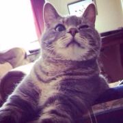 宇宙飞床M 头像