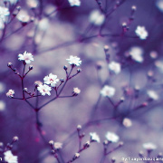 枕头有点高 头像