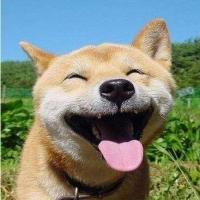 www_Leo-L1ao超_com 头像