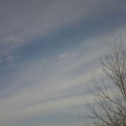 小鱼儿于--林 头像