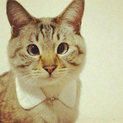 不眠与不休 头像