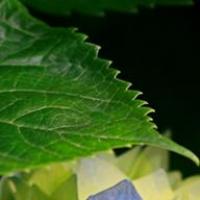 谁都别理王大可 头像