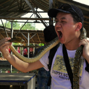 不一样的阿汤哥 头像