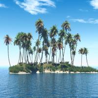 最后一吻o 头像