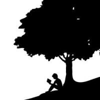 这肤浅对白 头像