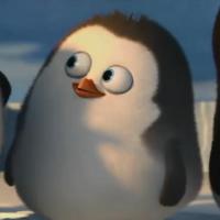 西瓜_jayxigua 头像