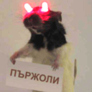 Никита Сушко 头像