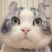 William好好学法律 头像