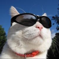 深美科技-小王 头像