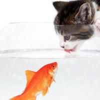 享受品质生活 头像