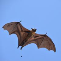 dobestself994395 头像