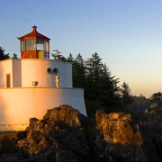 Siddhartha_stu 头像