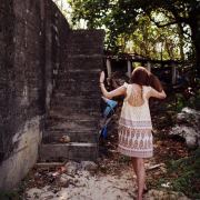 Shirley大树和花朵 头像