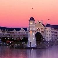 非洲的大大 头像